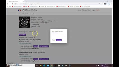 mavc pigeon clocking apps